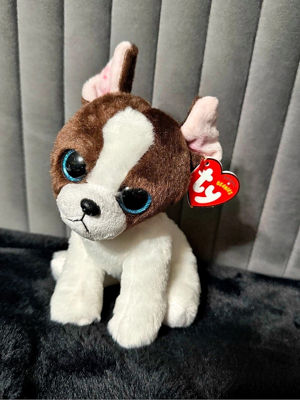 Ty Portia the Boston Terrier Beanie Boo Plush Dog Brown & White